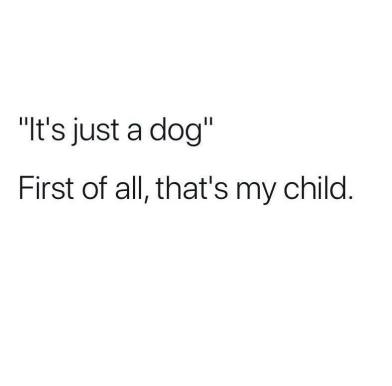 22687840_10210246303095980_6858690286940840253_n